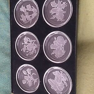 Vintage Val Saint Lambert Crystal Floral Intaglio Coasters Signed Set of 6